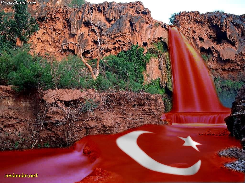 الكازاخية أقليات تركية.